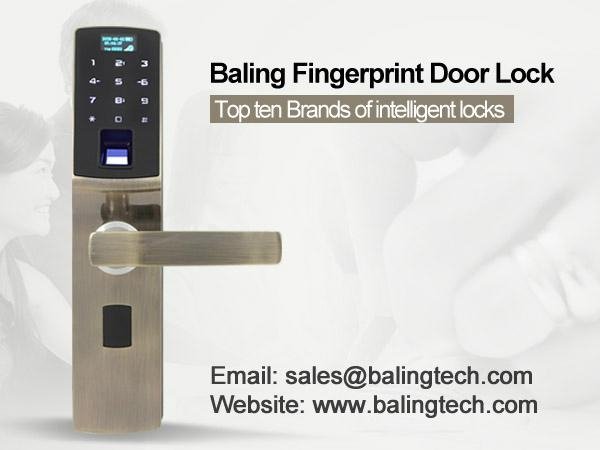 high quality digital fingerprint keypad door lock