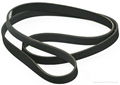 v belt, v belts, vee belts, v-belt, poly v belts 2