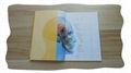 Top Quality custom Paper Cover Book Printing 5