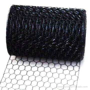 hexagonal wire mesh