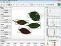 QT-LS02 Leaf Analysis System 1