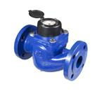  Industrial water meters