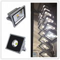 50W LED Flood light