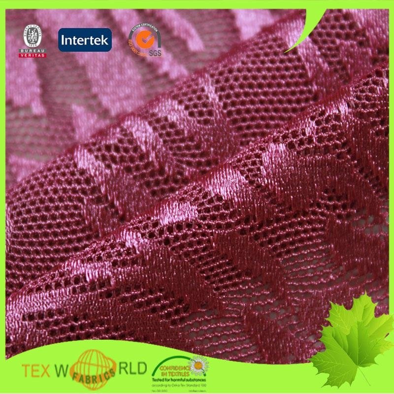 Knitting Stretch Jacquard Netting Fabric for Lingeire Garment (NEQ332-140)