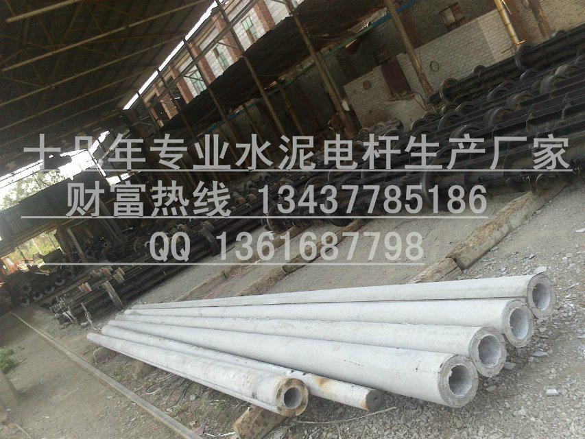 惠州电线杆 3