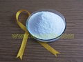 magnesium chloride anhydrous 1