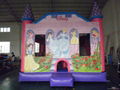 Commercial Grade C4 Princess Inflatable Bouncy Castle