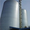 Paddy Silo