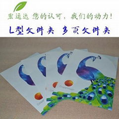 PP a4 folders wholesale L-type folder