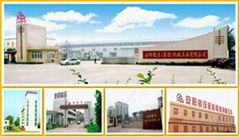 ANYANG FORGING PRESS NUMERICAL CONTROL EQUIPMENT CO., LTD