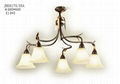 Chandelier &pendant light 5