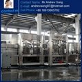 Hot sale Automatic Carbonated beverage 3-in-1 filling machine 1