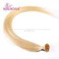 Keratin Hair Tip Hair Malaysian Human Hair Extension 1