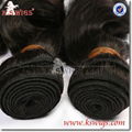 New Arrival Best Quality Malaysian Virgin Human Hair 5