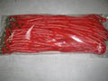 tube polyester lanyards 3