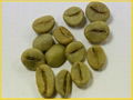 Robusta coffee in high quality. Origin: Vietnam 1