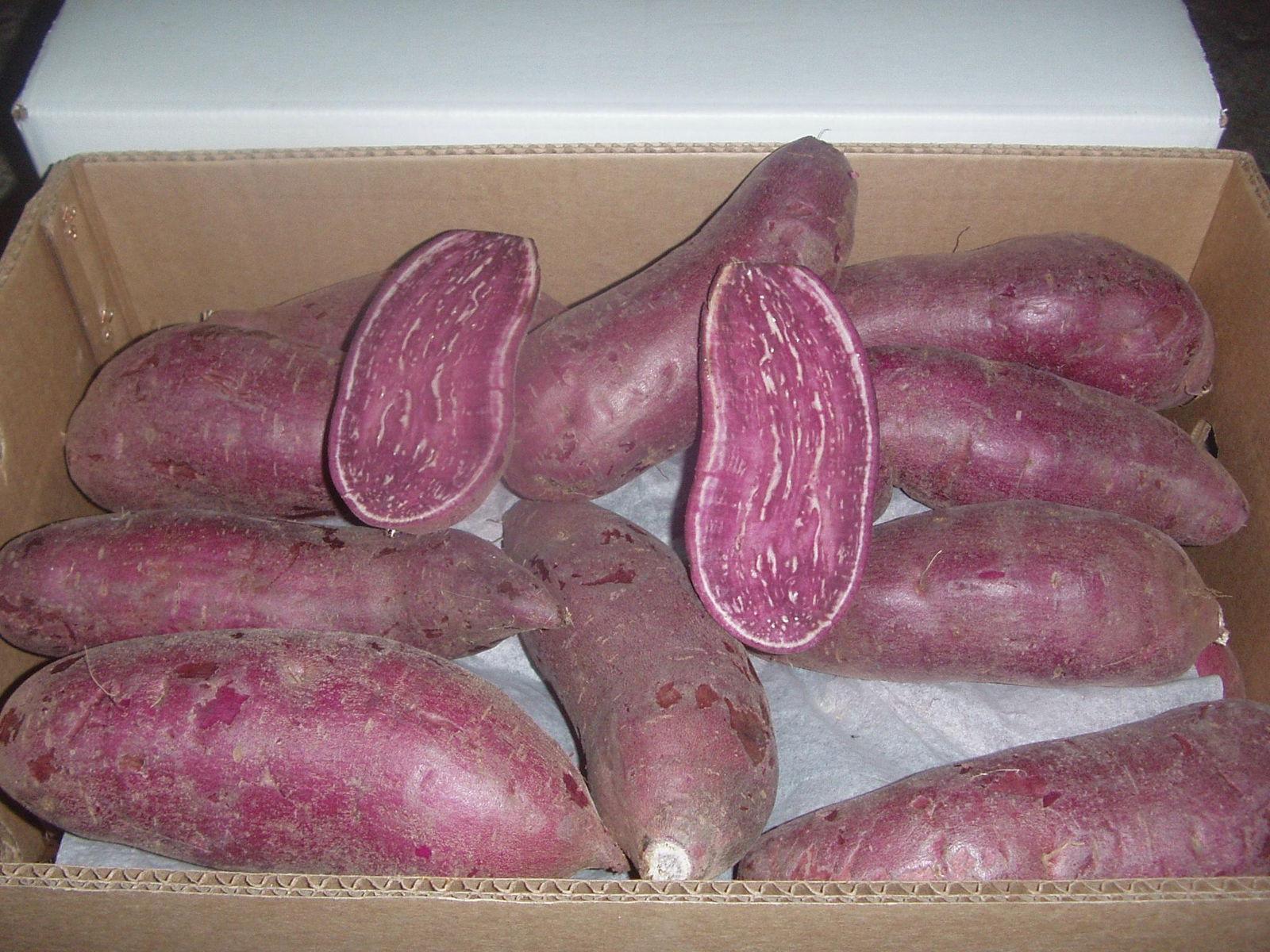 FRESH SWEET POTATO 3