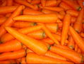 FRESH CARROT 3