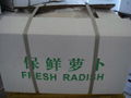 FRESH WHITE RADISH 4