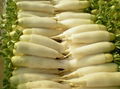 FRESH WHITE RADISH 2