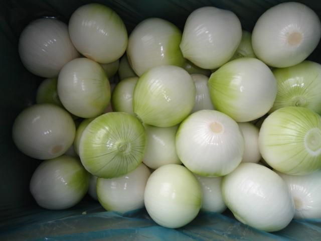 PEELED ONION 3