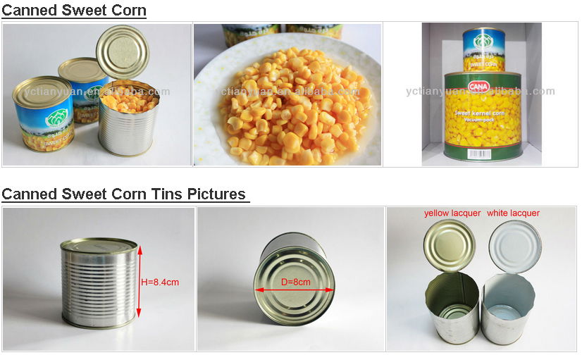 340g 2016 in season canned sweet corn 3