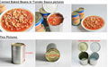 High Quality 400g*24 Canned White kidney  Beans in Tomato Sauce 3