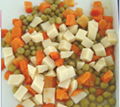 new crop canned mixed vegetable 3