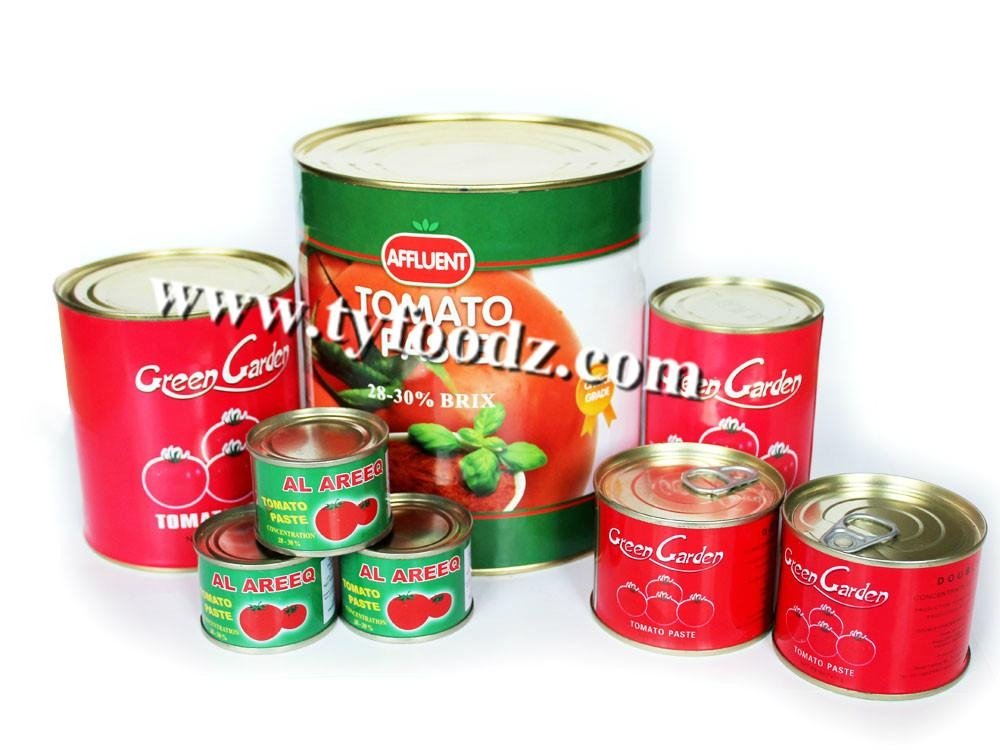 70g-4.5Kg canned tomato paste 