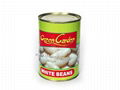 400g Canned White Kidney Beans in Brine 3