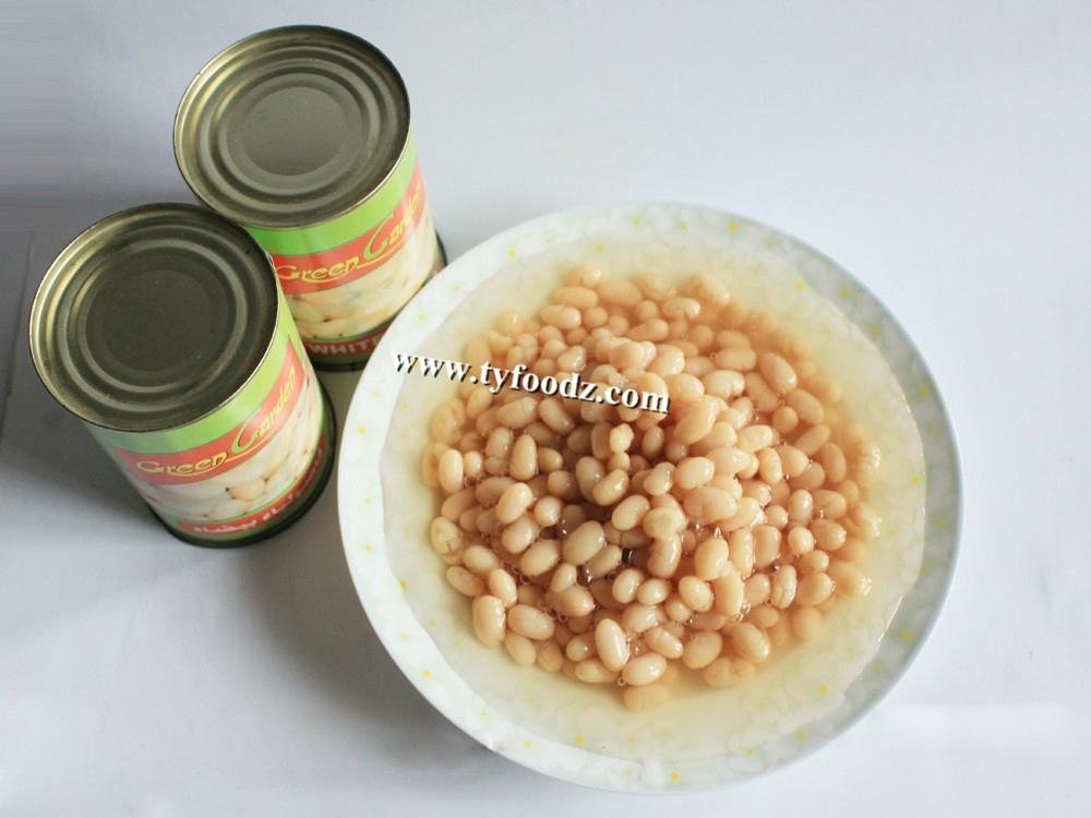 400g Canned White Kidney Beans in Brine