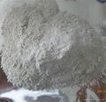 Bentonite for Medical