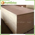 Factory Provide Plywood