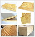 Factory Provide OSB 1