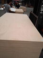 Factory Provide Waterproof BS1088 Marine Plywood for Boat