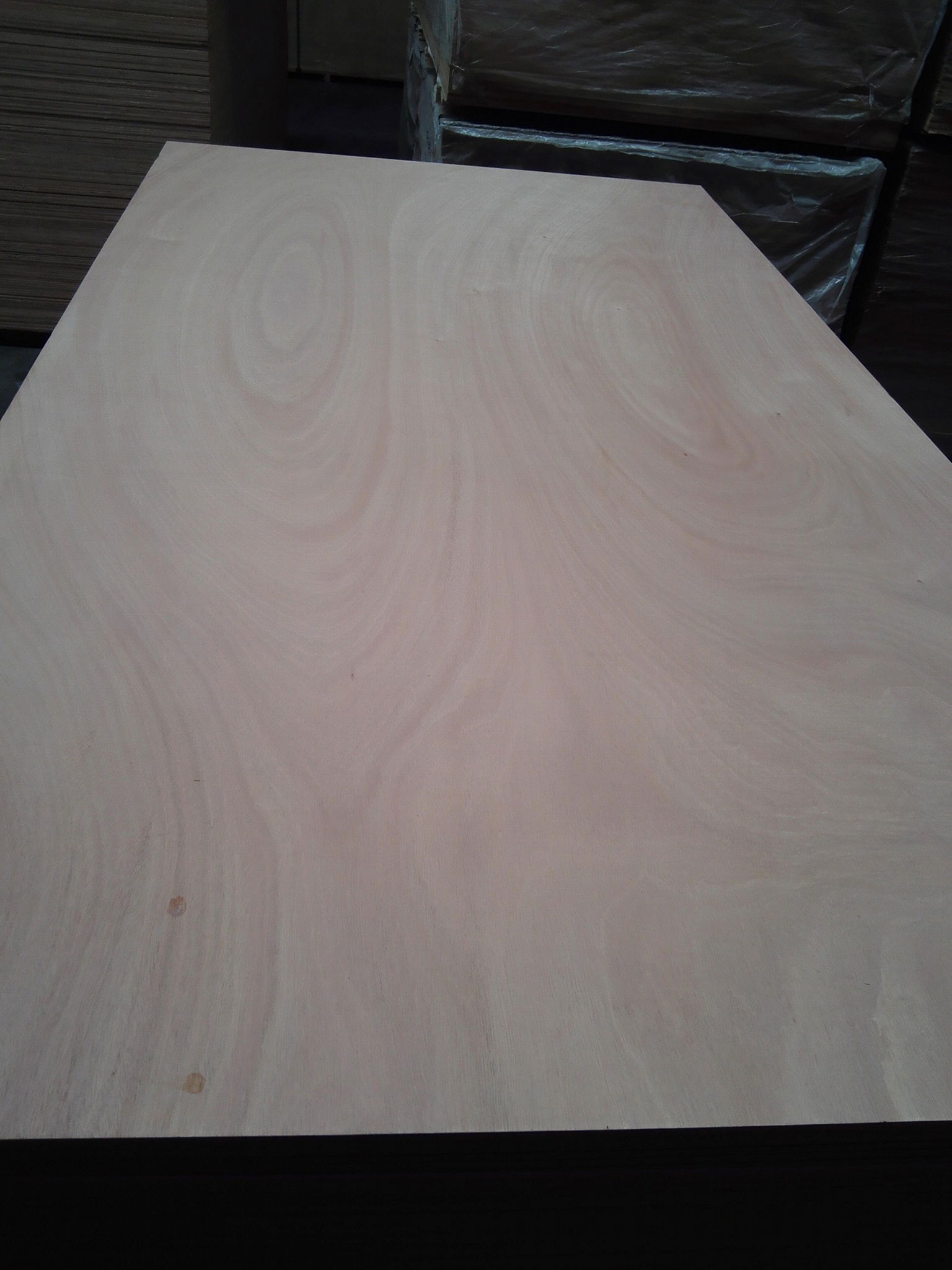 Factory Provide Waterproof BS1088 Marine Plywood for Boat 3