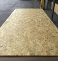 Factory Provide OSB 3