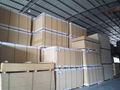 Factory Provide OSB 5