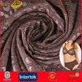 Warp Knitted Stretch Jacquard Fabric for Women Underwear (JNE31169) 1