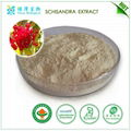 schisandra extract 1