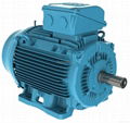 Inductiion Motor