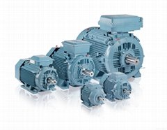 Slip Ring Motor