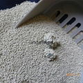 Bentonite Cat Litter 1