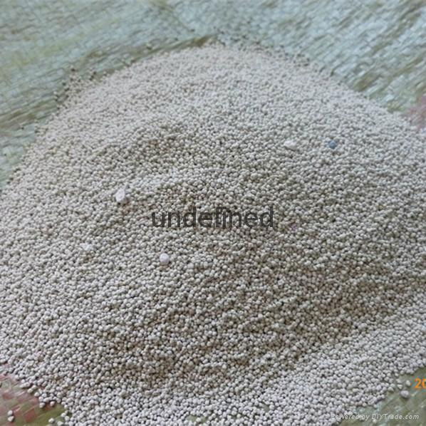 Bentonite Cat Litter 3