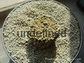 Bentonite Cat Litter 5