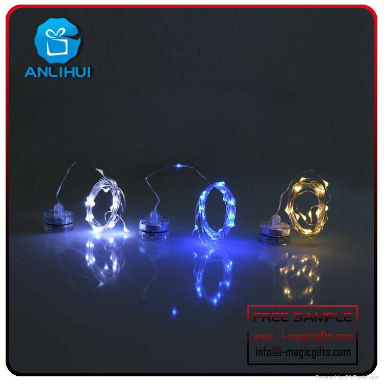 Holiday & Wedding decoration copper wire led string light with Crystal Balls 5