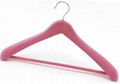 velvet hanger for kids or clothing