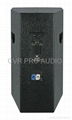 professional speaker system + self powered speaker + active speaker system 1