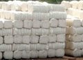 Raw Cotton (yuefungtex at gmail dot com)