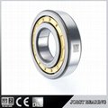 HIGH PRECISION CYLINDRICAL ROLLER BEARING AH 316M/317  5